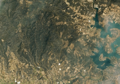 Сгоревшие леса в Турции видно из космоса