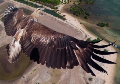 Земля глазами птицы: лучшие дрон-фотографии со всего мира