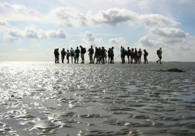 Ваттове море (Німеччина / Данія). У 2014 році ЮНЕСКО розширило об