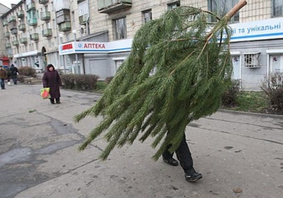 Киевляне могут сдать елки на утилизацию, - Киевзеленстрой