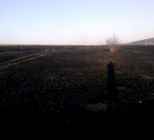 На Луганщине огонь уничтожил 20 тонн зерна - ВИДЕО