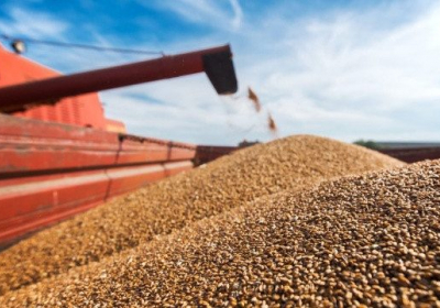 Україна за рік збільшила експорт зерна 