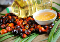 Найбільший у світі виробник пальмової олії Індонезія забороняє експорт: причина