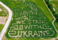 Ферма в США зробила лабіринт в кукурудзяному полі і збирає кошти на підтримку України - видання