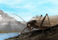 Вчені відтворили звуки комахи, яку не бачили вже 150 років