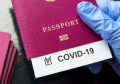 Страны ЕС согласуют 9-месячный срок COVID-сертификатов для путешествий - СМИ